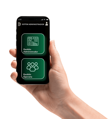 Imagen de la sección