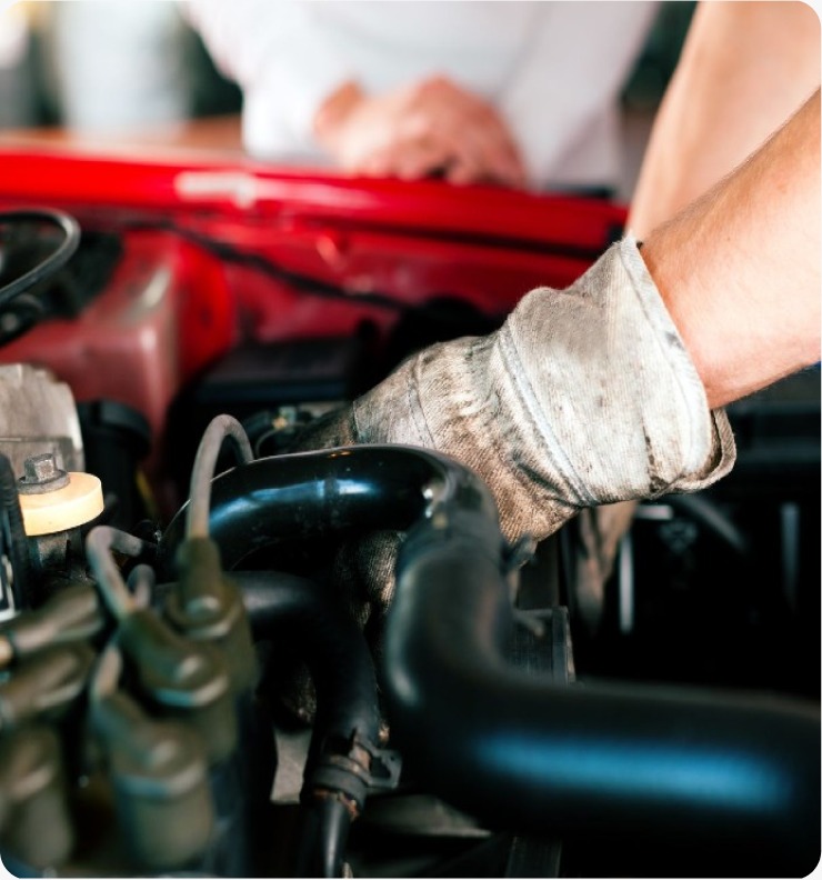 Combo bumper a bumper + engrase + graduación